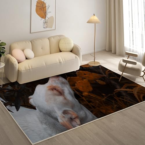 KaiHeBeding Kuscheliger Kurzflor Teppich Wohnzimmer, Bullterrier Anti-Rutsch Unterseite Teppich, Waschbar Bis 30 Grad, Super Soft,Pflegeleicht und Robust Felloptik, Haustiere ,160x220cm KaiHeBeding Kuscheliger Kurzflor Teppich Wohnzimmer, Bullterrier Anti-Rutsch Unterseite Teppich, Waschbar Bis 30 Grad, Super Soft,Pflegeleicht und Robust Felloptik, Haustiere ,160x220cm von KaiHeBeding