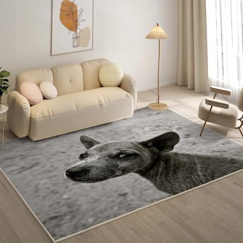 KaiHeBeding Kuscheliger Kurzflor Teppich Wohnzimmer, Chihuahua Anti-Rutsch Unterseite Teppich, Waschbar Bis 30 Grad, Super Soft,Pflegeleicht und Robust Felloptik, Grau ,120x170cm KaiHeBeding Kuscheliger Kurzflor Teppich Wohnzimmer, Chihuahua Anti-Rutsch Unterseite Teppich, Waschbar Bis 30 Grad, Super Soft,Pflegeleicht und Robust Felloptik, Grau ,120x170cm von KaiHeBeding