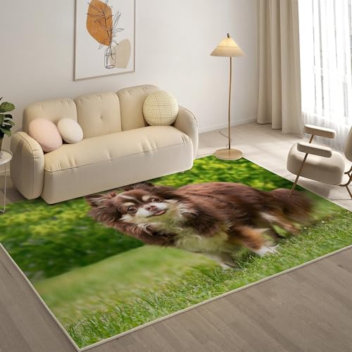 KaiHeBeding Kuscheliger Kurzflor Teppich Wohnzimmer, Chihuahua Anti-Rutsch Unterseite Teppich, Waschbar Bis 30 Grad, Super Soft,Pflegeleicht und Robust Felloptik, Haustiere ,140x200cm KaiHeBeding Kuscheliger Kurzflor Teppich Wohnzimmer, Chihuahua Anti-Rutsch Unterseite Teppich, Waschbar Bis 30 Grad, Super Soft,Pflegeleicht und Robust Felloptik, Haustiere ,140x200cm von KaiHeBeding