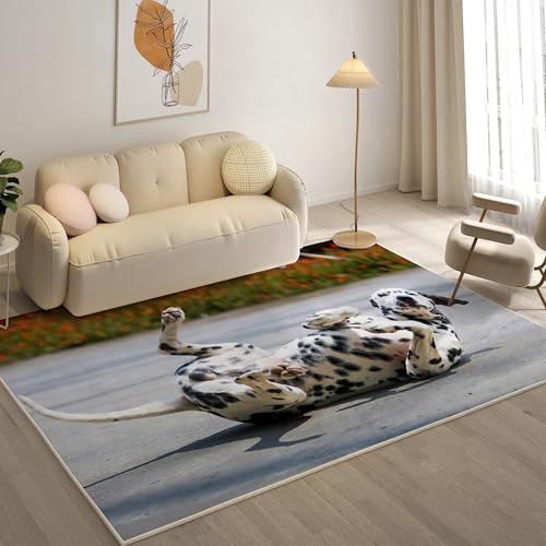 KaiHeBeding Kuscheliger Kurzflor Teppich Wohnzimmer, Dalmatiner Anti-Rutsch Unterseite Teppich, Waschbar Bis 30 Grad, Super Soft,Pflegeleicht und Robust Felloptik, Haustiere ,120x170cm KaiHeBeding Kuscheliger Kurzflor Teppich Wohnzimmer, Dalmatiner Anti-Rutsch Unterseite Teppich, Waschbar Bis 30 Grad, Super Soft,Pflegeleicht und Robust Felloptik, Haustiere ,120x170cm von KaiHeBeding