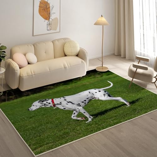 KaiHeBeding Kuscheliger Kurzflor Teppich Wohnzimmer, Dalmatiner Anti-Rutsch Unterseite Teppich, Waschbar Bis 30 Grad, Super Soft,Pflegeleicht und Robust Felloptik, Weiß ,120x160cm KaiHeBeding Kuscheliger Kurzflor Teppich Wohnzimmer, Dalmatiner Anti-Rutsch Unterseite Teppich, Waschbar Bis 30 Grad, Super Soft,Pflegeleicht und Robust Felloptik, Weiß ,120x160cm von KaiHeBeding