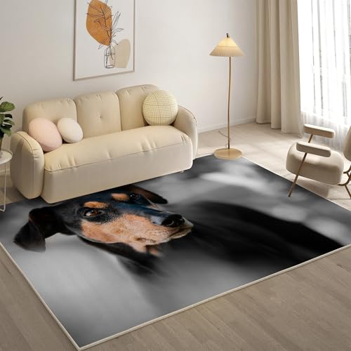KaiHeBeding Kuscheliger Kurzflor Teppich Wohnzimmer, Dobermann Anti-Rutsch Unterseite Teppich, Waschbar Bis 30 Grad, Super Soft,Pflegeleicht und Robust Felloptik, Haustiere ，120x180cm von KaiHeBeding