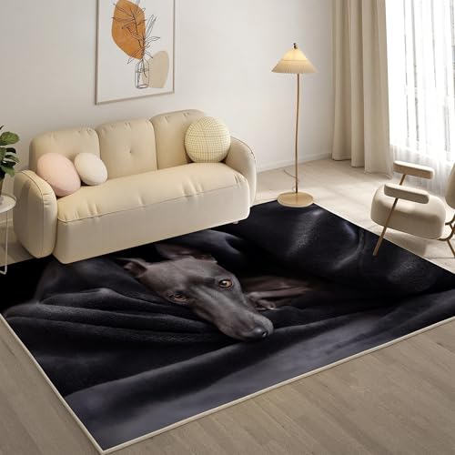 KaiHeBeding Kuscheliger Kurzflor Teppich Wohnzimmer, Italienisches Windspiel Anti-Rutsch Unterseite Teppich, Waschbar Bis 30 Grad, Super Soft,Pflegeleicht und Robust Felloptik, Grau ,140x200cm KaiHeBeding Kuscheliger Kurzflor Teppich Wohnzimmer, Italienisches Windspiel Anti-Rutsch Unterseite Teppich, Waschbar Bis 30 Grad, Super Soft,Pflegeleicht und Robust Felloptik, Grau ,140x200cm von KaiHeBeding