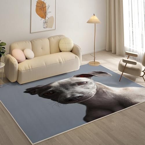 KaiHeBeding Kuscheliger Kurzflor Teppich Wohnzimmer, Italienisches Windspiel Anti-Rutsch Unterseite Teppich, Waschbar Bis 30 Grad, Super Soft,Pflegeleicht und Robust Felloptik, Grau ,160x230cm KaiHeBeding Kuscheliger Kurzflor Teppich Wohnzimmer, Italienisches Windspiel Anti-Rutsch Unterseite Teppich, Waschbar Bis 30 Grad, Super Soft,Pflegeleicht und Robust Felloptik, Grau ,160x230cm von KaiHeBeding