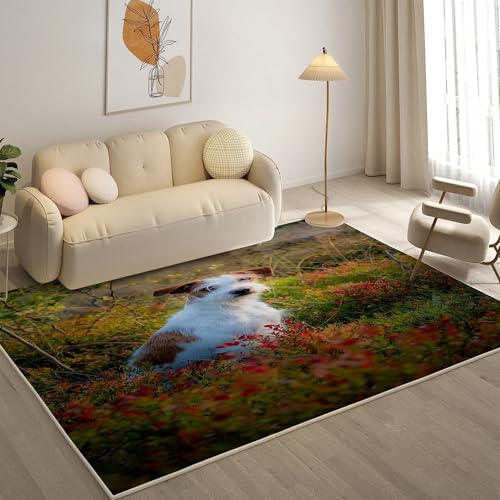 KaiHeBeding Kuscheliger Kurzflor Teppich Wohnzimmer, Jack Russell Terrier Anti-Rutsch Unterseite Teppich, Waschbar Bis 30 Grad, Super Soft,Pflegeleicht und Robust Felloptik, Hund ，120x170cm von KaiHeBeding