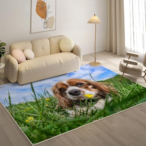 KaiHeBeding Kuscheliger Kurzflor Teppich Wohnzimmer, King Charles Spaniel Anti-Rutsch Unterseite Teppich, Waschbar Bis 30 Grad, Super Soft,Pflegeleicht und Robust Felloptik, Tier ，120x160cm von KaiHeBeding