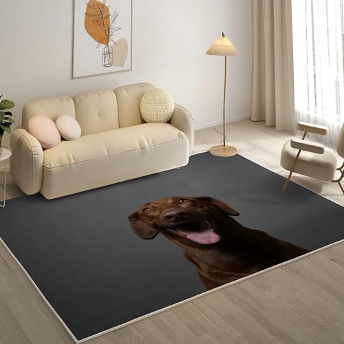 KaiHeBeding Kuscheliger Kurzflor Teppich Wohnzimmer, Labrador Anti-Rutsch Unterseite Teppich, Waschbar Bis 30 Grad, Super Soft,Pflegeleicht und Robust Felloptik, Haustiere ，120x160cm von KaiHeBeding