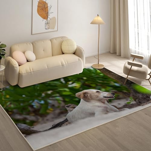 KaiHeBeding Kuscheliger Kurzflor Teppich Wohnzimmer, Labrador Anti-Rutsch Unterseite Teppich, Waschbar Bis 30 Grad, Super Soft,Pflegeleicht und Robust Felloptik, Haustiere ,120x170cm KaiHeBeding Kuscheliger Kurzflor Teppich Wohnzimmer, Labrador Anti-Rutsch Unterseite Teppich, Waschbar Bis 30 Grad, Super Soft,Pflegeleicht und Robust Felloptik, Haustiere ,120x170cm von KaiHeBeding
