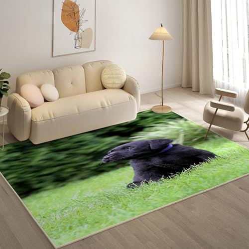 KaiHeBeding Kuscheliger Kurzflor Teppich Wohnzimmer, Labrador Anti-Rutsch Unterseite Teppich, Waschbar Bis 30 Grad, Super Soft,Pflegeleicht und Robust Felloptik, Kleiner Hund ，160x230cm von KaiHeBeding