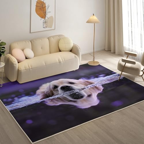 KaiHeBeding Kuscheliger Kurzflor Teppich Wohnzimmer, Lila Anti-Rutsch Unterseite Teppich, Waschbar Bis 30 Grad, Super Soft,Pflegeleicht und Robust Felloptik, Labrador ，120x180cm von KaiHeBeding