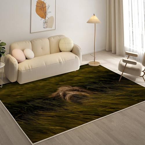 KaiHeBeding Kuscheliger Kurzflor Teppich Wohnzimmer, Pudel Anti-Rutsch Unterseite Teppich, Waschbar Bis 30 Grad, Super Soft,Pflegeleicht und Robust Felloptik, Haustiere ，120x160cm von KaiHeBeding