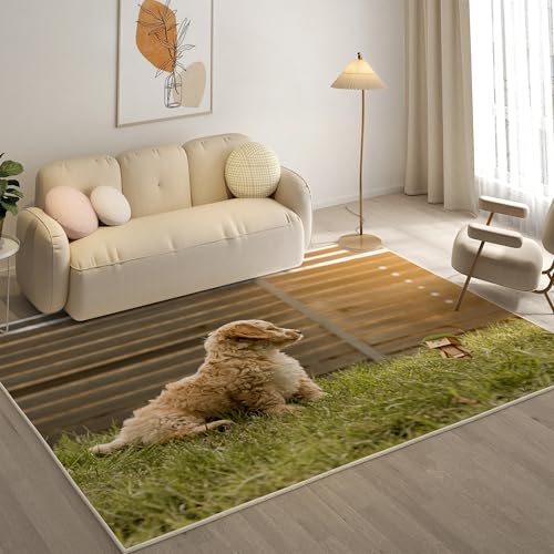 KaiHeBeding Kuscheliger Kurzflor Teppich Wohnzimmer, Pudel Anti-Rutsch Unterseite Teppich, Waschbar Bis 30 Grad, Super Soft,Pflegeleicht und Robust Felloptik, Haustiere ，120x170cm von KaiHeBeding