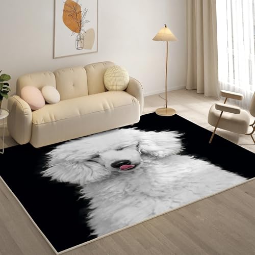 KaiHeBeding Kuscheliger Kurzflor Teppich Wohnzimmer, Pudel Anti-Rutsch Unterseite Teppich, Waschbar Bis 30 Grad, Super Soft,Pflegeleicht und Robust Felloptik, Süß ,120x180cm KaiHeBeding Kuscheliger Kurzflor Teppich Wohnzimmer, Pudel Anti-Rutsch Unterseite Teppich, Waschbar Bis 30 Grad, Super Soft,Pflegeleicht und Robust Felloptik, Süß ,120x180cm von KaiHeBeding