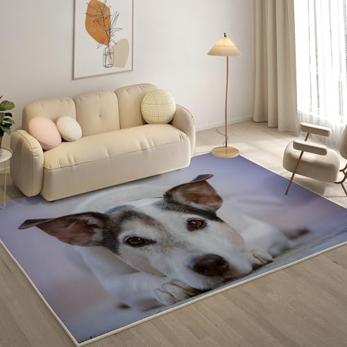 KaiHeBeding Kuscheliger Kurzflor Teppich Wohnzimmer, Rattenterrier Anti-Rutsch Unterseite Teppich, Waschbar Bis 30 Grad, Super Soft,Pflegeleicht und Robust Felloptik, Tier ，120x170cm von KaiHeBeding