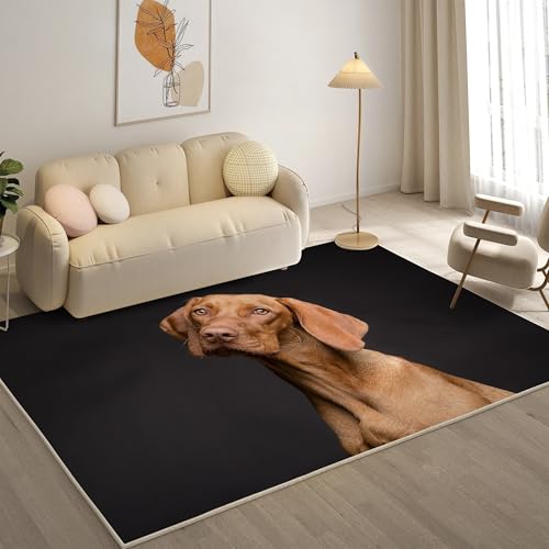 KaiHeBeding Kuscheliger Kurzflor Teppich Wohnzimmer, Vizla Anti-Rutsch Unterseite Teppich, Waschbar Bis 30 Grad, Super Soft,Pflegeleicht und Robust Felloptik, Haustiere ，140x200cm von KaiHeBeding