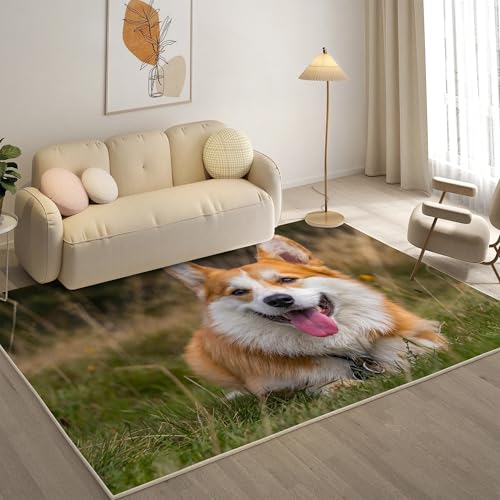 KaiHeBeding Kuscheliger Kurzflor Teppich Wohnzimmer, Welsh Corgi Anti-Rutsch Unterseite Teppich, Waschbar Bis 30 Grad, Super Soft,Pflegeleicht und Robust Felloptik, Haustiere ,120x180cm KaiHeBeding Kuscheliger Kurzflor Teppich Wohnzimmer, Welsh Corgi Anti-Rutsch Unterseite Teppich, Waschbar Bis 30 Grad, Super Soft,Pflegeleicht und Robust Felloptik, Haustiere ,120x180cm von KaiHeBeding