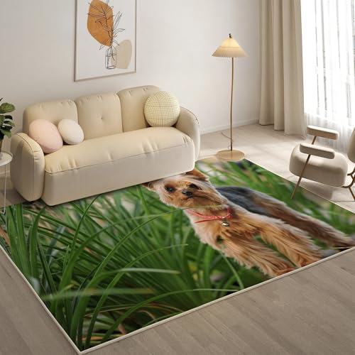 KaiHeBeding Kuscheliger Kurzflor Teppich Wohnzimmer, Yorkshire Terrier Anti-Rutsch Unterseite Teppich, Waschbar Bis 30 Grad, Super Soft,Pflegeleicht und Robust Felloptik, Hund ，80x150cm von KaiHeBeding