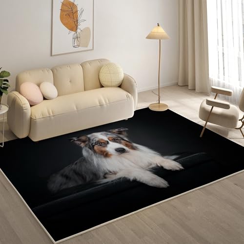KaiHeBeding Teppich 200x300, Waschbar Anti-Rutsch Extra GroßE Teppiche, Australischer SchäFerhund Moderner Kurzflor Teppich Wohnzimmer Schlafzimmer mit, Haustiere von KaiHeBeding
