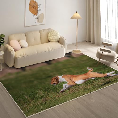 KaiHeBeding Teppich 200x300, Waschbar Anti-Rutsch Extra GroßE Teppiche, Basenji Moderner Kurzflor Teppich Wohnzimmer Schlafzimmer mit, Süß von KaiHeBeding