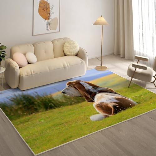KaiHeBeding Teppich 200x300, Waschbar Anti-Rutsch Extra GroßE Teppiche, Basset Hound Moderner Kurzflor Teppich Wohnzimmer Schlafzimmer mit, Tier von KaiHeBeding