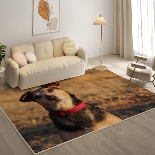 KaiHeBeding Teppich 200x300, Waschbar Anti-Rutsch Extra GroßE Teppiche, Black and Tan Terrier Moderner Kurzflor Teppich Wohnzimmer Schlafzimmer mit, Haustiere von KaiHeBeding