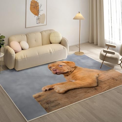 KaiHeBeding Teppich 200x300, Waschbar Anti-Rutsch Extra GroßE Teppiche, Bordeauxdogge Moderner Kurzflor Teppich Wohnzimmer Schlafzimmer mit, Khaki von KaiHeBeding