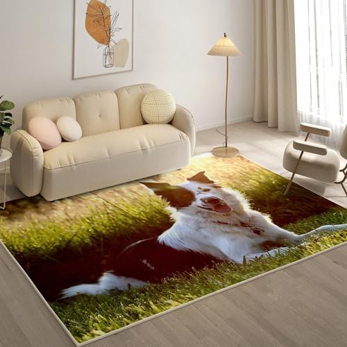 KaiHeBeding Teppich 200x300, Waschbar Anti-Rutsch Extra GroßE Teppiche, Border Collie Moderner Kurzflor Teppich Wohnzimmer Schlafzimmer mit, Haustiere von KaiHeBeding