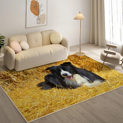 KaiHeBeding Teppich 200x300, Waschbar Anti-Rutsch Extra GroßE Teppiche, Border Collie Moderner Kurzflor Teppich Wohnzimmer Schlafzimmer mit, Haustiere von KaiHeBeding
