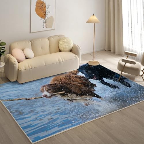 KaiHeBeding Teppich 200x300, Waschbar Anti-Rutsch Extra GroßE Teppiche, Border Collie Moderner Kurzflor Teppich Wohnzimmer Schlafzimmer mit, Haustiere von KaiHeBeding