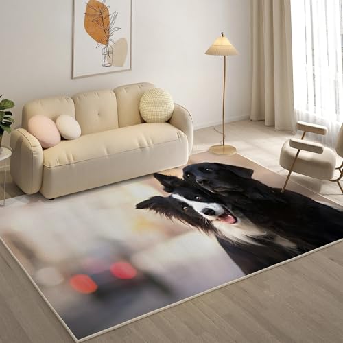 KaiHeBeding Teppich 200x300, Waschbar Anti-Rutsch Extra GroßE Teppiche, Border Collie Moderner Kurzflor Teppich Wohnzimmer Schlafzimmer mit, Haustiere von KaiHeBeding