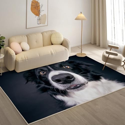 KaiHeBeding Teppich 200x300, Waschbar Anti-Rutsch Extra GroßE Teppiche, Border Collie Moderner Kurzflor Teppich Wohnzimmer Schlafzimmer mit, Süß von KaiHeBeding