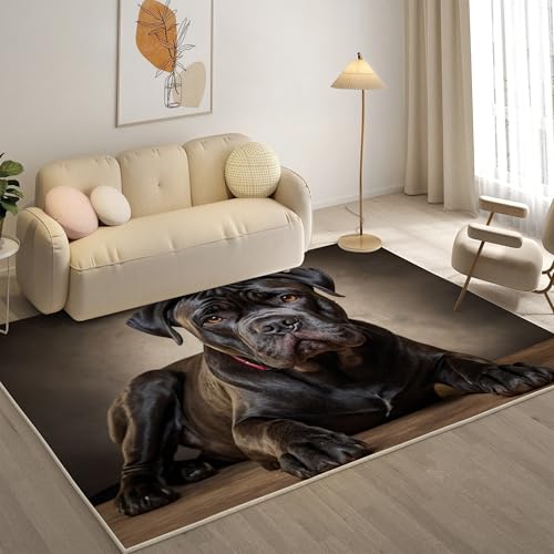 KaiHeBeding Teppich 200x300, Waschbar Anti-Rutsch Extra GroßE Teppiche, Cane Corso Moderner Kurzflor Teppich Wohnzimmer Schlafzimmer mit, Tier von KaiHeBeding