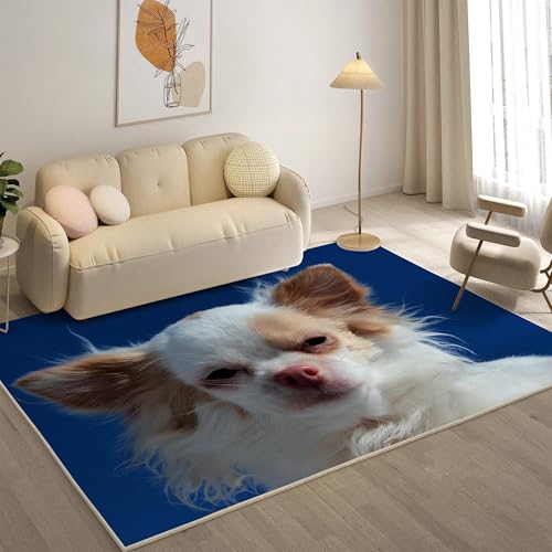 KaiHeBeding Teppich 200x300, Waschbar Anti-Rutsch Extra GroßE Teppiche, Chihuahua Moderner Kurzflor Teppich Wohnzimmer Schlafzimmer mit, Haustiere von KaiHeBeding
