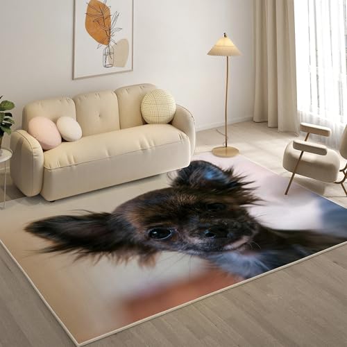 KaiHeBeding Teppich 200x300, Waschbar Anti-Rutsch Extra GroßE Teppiche, Chihuahua Moderner Kurzflor Teppich Wohnzimmer Schlafzimmer mit, SüßE Haustiere von KaiHeBeding