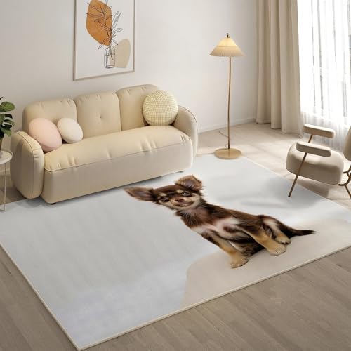 KaiHeBeding Teppich 200x300, Waschbar Anti-Rutsch Extra GroßE Teppiche, Chihuahua Moderner Kurzflor Teppich Wohnzimmer Schlafzimmer mit, Tier KaiHeBeding Teppich 200x300, Waschbar Anti-Rutsch Extra GroßE Teppiche, Chihuahua Moderner Kurzflor Teppich Wohnzimmer Schlafzimmer mit, Tier von KaiHeBeding