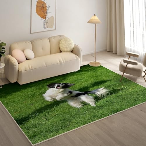 KaiHeBeding Teppich 200x300, Waschbar Anti-Rutsch Extra GroßE Teppiche, Cocker Spaniel Moderner Kurzflor Teppich Wohnzimmer Schlafzimmer mit, Süß von KaiHeBeding