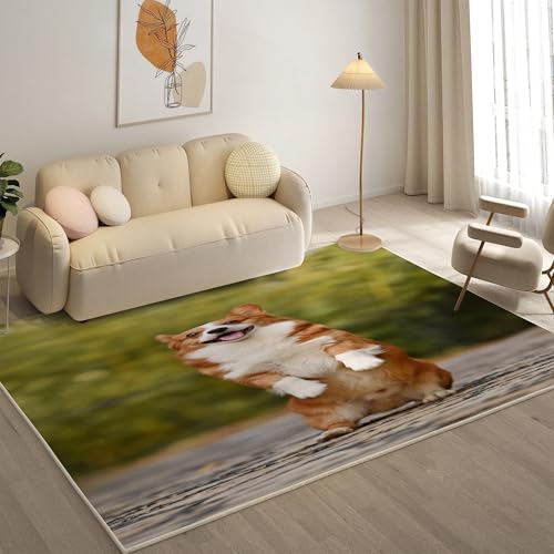 KaiHeBeding Teppich 200x300, Waschbar Anti-Rutsch Extra GroßE Teppiche, Corgi Moderner Kurzflor Teppich Wohnzimmer Schlafzimmer mit, Haustiere von KaiHeBeding