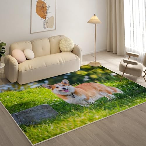 KaiHeBeding Teppich 200x300, Waschbar Anti-Rutsch Extra GroßE Teppiche, Corgi Moderner Kurzflor Teppich Wohnzimmer Schlafzimmer mit, Süß von KaiHeBeding