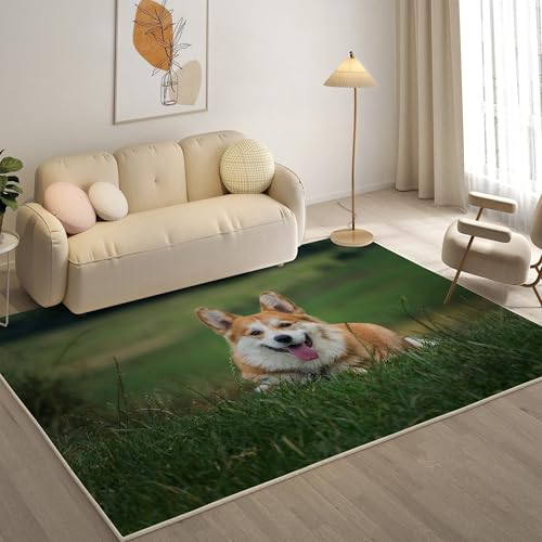 KaiHeBeding Teppich 200x300, Waschbar Anti-Rutsch Extra GroßE Teppiche, Corgi Moderner Kurzflor Teppich Wohnzimmer Schlafzimmer mit, Süß von KaiHeBeding