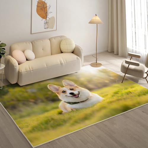 KaiHeBeding Teppich 200x300, Waschbar Anti-Rutsch Extra GroßE Teppiche, Corgi Moderner Kurzflor Teppich Wohnzimmer Schlafzimmer mit, Süß von KaiHeBeding