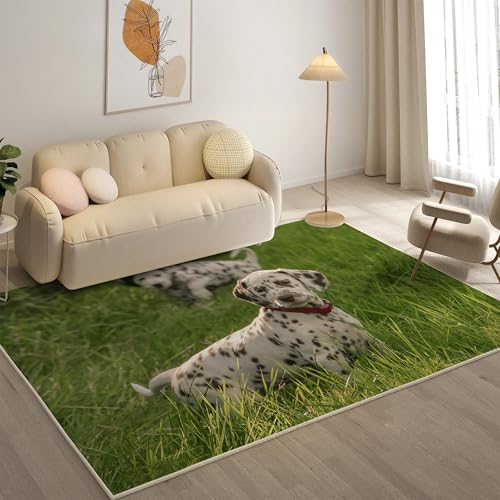 KaiHeBeding Teppich 200x300, Waschbar Anti-Rutsch Extra GroßE Teppiche, Dalmatiner Moderner Kurzflor Teppich Wohnzimmer Schlafzimmer mit, Haustiere von KaiHeBeding