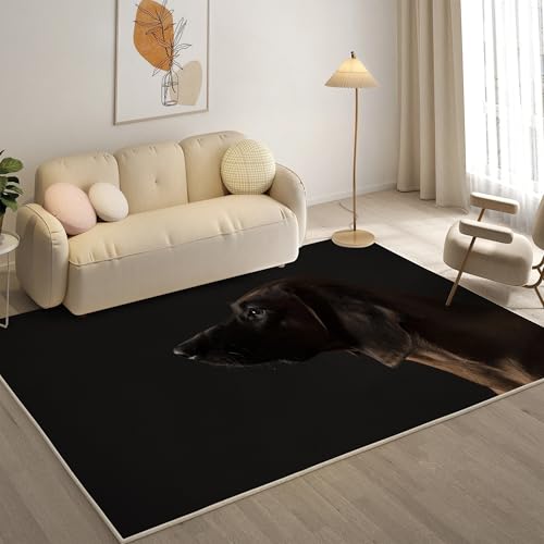 KaiHeBeding Teppich 200x300, Waschbar Anti-Rutsch Extra GroßE Teppiche, Deutsch Kurzhaar Moderner Kurzflor Teppich Wohnzimmer Schlafzimmer mit, Haustiere von KaiHeBeding