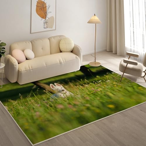 KaiHeBeding Teppich 200x300, Waschbar Anti-Rutsch Extra GroßE Teppiche, Deutscher SchäFerhund Moderner Kurzflor Teppich Wohnzimmer Schlafzimmer mit, Haustiere von KaiHeBeding