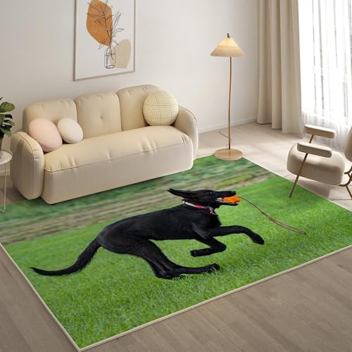 KaiHeBeding Teppich 200x300, Waschbar Anti-Rutsch Extra GroßE Teppiche, Deutscher SchäFerhund Moderner Kurzflor Teppich Wohnzimmer Schlafzimmer mit, Haustiere von KaiHeBeding