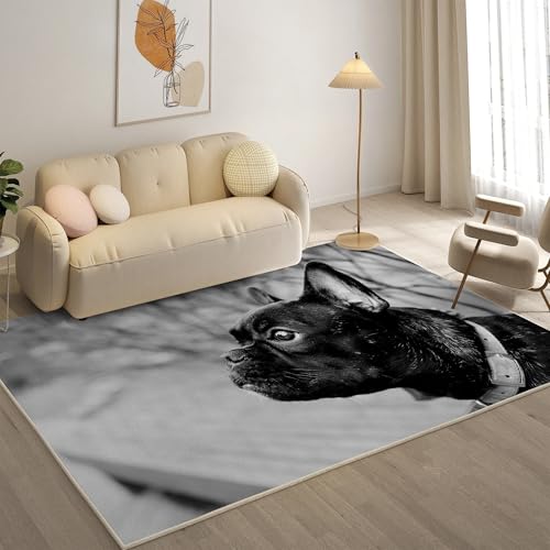 KaiHeBeding Teppich 200x300, Waschbar Anti-Rutsch Extra GroßE Teppiche, FranzöSische Bulldogge Moderner Kurzflor Teppich Wohnzimmer Schlafzimmer mit, Schwarz von KaiHeBeding