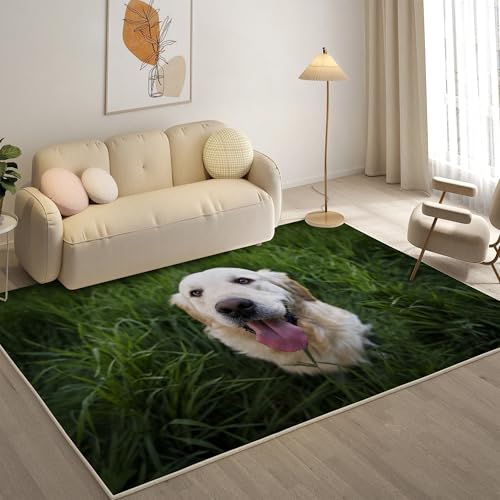 KaiHeBeding Teppich 200x300, Waschbar Anti-Rutsch Extra GroßE Teppiche, Golden Retriever Moderner Kurzflor Teppich Wohnzimmer Schlafzimmer mit, Haustiere von KaiHeBeding