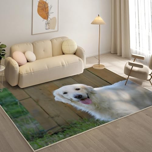 KaiHeBeding Teppich 200x300, Waschbar Anti-Rutsch Extra GroßE Teppiche, Golden Retriever Moderner Kurzflor Teppich Wohnzimmer Schlafzimmer mit, Weiß von KaiHeBeding