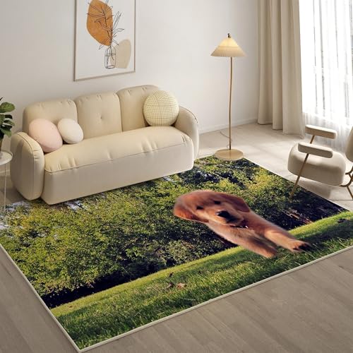 KaiHeBeding Teppich 200x300, Waschbar Anti-Rutsch Extra GroßE Teppiche, Golden Retriever Welpe Moderner Kurzflor Teppich Wohnzimmer Schlafzimmer mit, Haustiere von KaiHeBeding