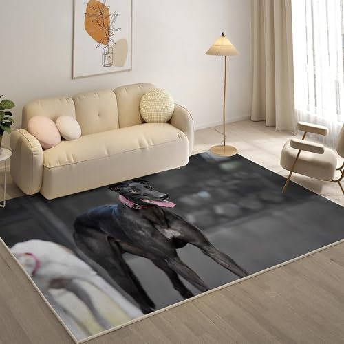 KaiHeBeding Teppich 200x300, Waschbar Anti-Rutsch Extra GroßE Teppiche, Italienisches Windspiel Moderner Kurzflor Teppich Wohnzimmer Schlafzimmer mit, Grau KaiHeBeding Teppich 200x300, Waschbar Anti-Rutsch Extra GroßE Teppiche, Italienisches Windspiel Moderner Kurzflor Teppich Wohnzimmer Schlafzimmer mit, Grau von KaiHeBeding