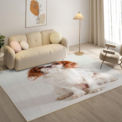 KaiHeBeding Teppich 200x300, Waschbar Anti-Rutsch Extra GroßE Teppiche, King Charles Spaniel Moderner Kurzflor Teppich Wohnzimmer Schlafzimmer mit, Haustiere KaiHeBeding Teppich 200x300, Waschbar Anti-Rutsch Extra GroßE Teppiche, King Charles Spaniel Moderner Kurzflor Teppich Wohnzimmer Schlafzimmer mit, Haustiere von KaiHeBeding